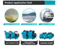 Pompe de vidange submersible QDX avec interrupteur à flotteur, pompe automatique pour eau claire, idéale pour le drainage des sous-sols, caves et piscines