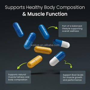 Fabricant de capsules énergétiques pour hommes, stimulant la vitalité et la croissance musculaire, tout-en-un, avec Maca, Tongkat Ali et Tribulus, en marque privée - Product Image 4
