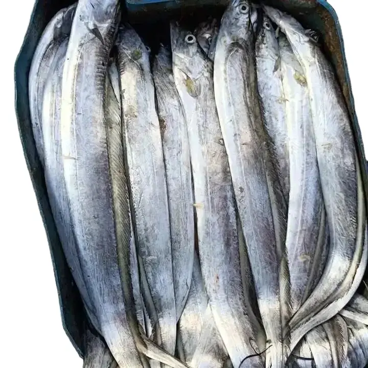 新鮮なリボン魚シーフード冷凍