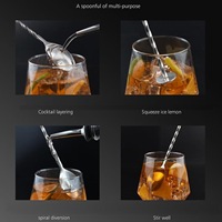 Ensemble de mélangeur à cocktails en acier inoxydable avec cuillère à mélanger, excellents outils et accessoires de mixologie pour bar