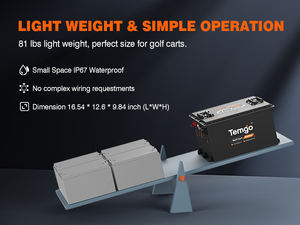 Baterai Golf Cart Lifepo4 36V 100Ah Pabrik, Baterai Lithium Casing Logam Golf Cart 48V 72V 105Ah 150Ah - Product Image 5