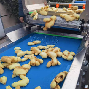 Rectificadora de cúrcuma Secador de cúrcuma Máquina para hacer polvo de jengibre y cúrcuma - Product Image 3