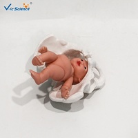 Modelo de Pelvis Femenina con Muñeca de Feto, Modelo de Demostración de Parto Obstétrico para Enseñanza de Obstetricia, CE/ISO/ROHS/CNAS