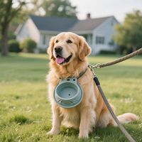 Bol d'alimentation en eau et en nourriture pour chien en silicone pliable personnalisé et écologique pour l'extérieur