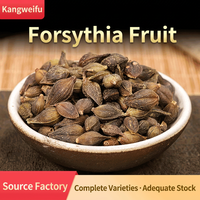 Fruits séchés de Forsythia (Lian Qiao, Forsythia Suspensa) – Matière première naturelle pour tisanes – Vente en gros