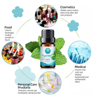 Huile essentielle de menthe poivrée 100% pure naturelle biologique de qualité alimentaire en vrac à prix avantageux pour les bonbons, les confiseries et les chewing-gums
