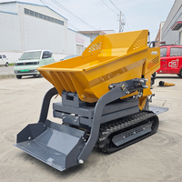 Schnelle Lieferung Mini Dumper Crawler Transporter Benutzer definierte Farbe Compact Dump Truck Großhandel Micro Mini Dumper Truck