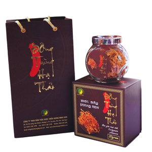 Cordyceps Lyophilisé de Haute Qualité 40g Champignon Médicinal Premium pour la Santé Quotidienne Vente en Gros - Product Image 6