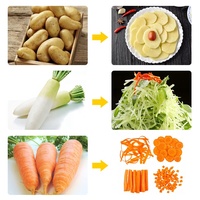 Automatische Multifunctionele Commerciële Groente-En Fruitsnijmachine Roestvrijstalen Motor Voor Aardappelkomkommerchampignonmaïs