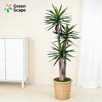 Bonsaï artificiel réaliste, palmier sago artificiel, plante cycas artificielle pour la décoration de la maison et du bureau
