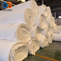 Géotextile en polypropylène 300 g/m² pour allée, tissu non tissé en fibres continues PP aiguilleté pour la séparation des sols et le drainage