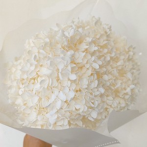 Flores Naturales <span class=keywords><strong>Preservadas</strong></span> y Secas de Alta Calidad a Precios Bajos, Hortensia Anna para Decoración de Bodas, Decoración del Hogar, Arreglos Florales - Product Image 2