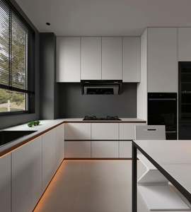 ตู้ครัววีเนียร์คุณภาพสูงขนาดกว้างขวางและเรียบง่ายสร้างตู้รูปแบบครัวเรือนสำหรับห้องครัว - Product Image 1