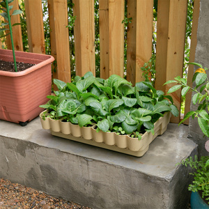 Chất lượng tuyệt vời tùy chỉnh nhựa hình chữ nhật trồng nồi lớn chậu rau - Product Image 2