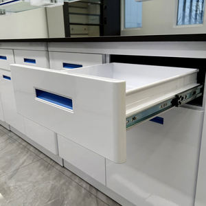 Étagère de stockage centrale pour banc d'essai de laboratoire pharmaceutique avec armoire <span class=keywords><strong>à</strong></span> eau en acier inoxydable et table d'essai - Product Image 4