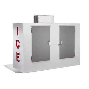 Kalten Wand Eis Gefrierfach für gas station verwenden mit CE/Solide Tür Oder Glas Tür Kühllager Eis box R404A für Supermarkt Verwenden