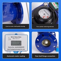 Compteur d'eau intelligent en fonte IP68 LoRaWAN IoT robuste, grand diamètre, anti-manipulation, contrôle intelligent, OEM
