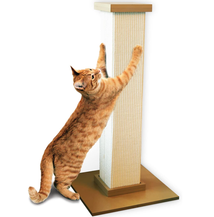 Kitten Scratching Tree Pet Cat Toy