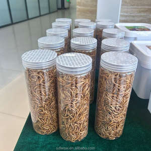 Vermi della Farina Gialli Essiccati Direttamente dalla Fabbrica, Snack ad Alto Contenuto Proteico per Animali Domestici, Polli e Pappagalli, Insetto Naturale - Product Image 6