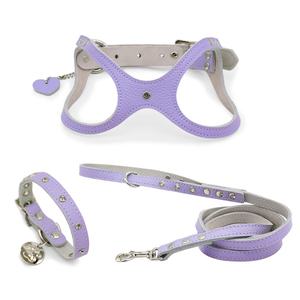 Juego de arnés y correa para cachorros <span class=keywords><strong>Bb</strong></span> de lujo con logotipo personalizado ajustable reciclado impermeable <span class=keywords><strong>Collar</strong></span> para mascotas pequeñas con remaches - Product Image 1