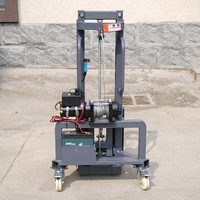 Mini gerbeur 300 kg, chariot élévateur portable, grue de levage, petit élévateur de marchandises, batterie au plomb-acide, pneus en nylon, terrain accidenté