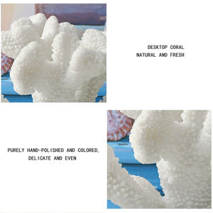 Résine de corail blanc, pour <span class=keywords><strong>Aquarium</strong></span> vifs, prix d'usine - Product Image 5