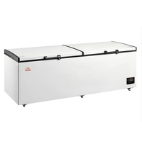 Nouveau modèle de congélateur coffre commercial BC/BD-998 998l antibactérien Double porte chaîne et barre de guidage pour congélateur coffre
