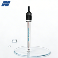 Sensor pH Pengolahan Air Online Plastik OEM/ODM Nengshi, Akurasi 0.01pH, Garansi 1 Tahun untuk Proses Industri Air Kontinu