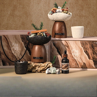 Diffuseur de pierre d'aromathérapie, huile essentielle, bougie parfumée, coffret cadeau premium, décoration d'intérieur, parfum d'ambiance, désodorisant