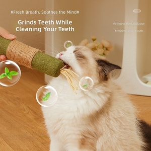 Juguete para Gatos <span class=keywords><strong>de</strong></span> Fruta <span class=keywords><strong>de</strong></span> Silvervine Natural al por Mayor - Juguete Ecológico para Masticar para Gatos con Logotipo Personalizado - Product Image 6
