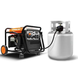 4000W HondaModel 인버터 Lpg 발전기 120V 240V 380V 3 상 홈 대기 발전기 Lpg 가스