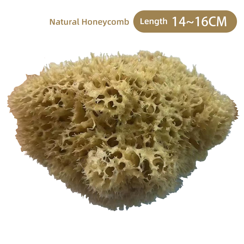 H16N Natural Honeycomb 14-16cm