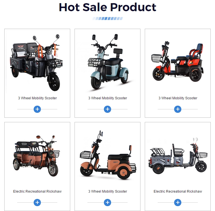 Electric Bike Motorised Tricycle for Handicapped Mobility