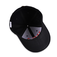Tweekleurige 100% Katoenen Baseball Caps Papa Aanpassen Mode Blanco Sporthoeden En Caps 3d Letter Borduurwerk Logo Cap Voor Man