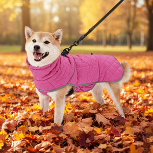 חליפת החלמה לאחר ניתוח לכלבים מבית Petcore IOT, בד נושם וידידותי לסביבה מכותנה/פוליאסטר/ניילון - Product Image 2