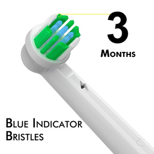 <span class=keywords><strong>Brosse</strong></span> à dents électrique de vente d'usine adaptée aux têtes de <span class=keywords><strong>brosse</strong></span> à dents orales Raun avec tête de <span class=keywords><strong>brosse</strong></span> à dents remplaçable - Product Image 5