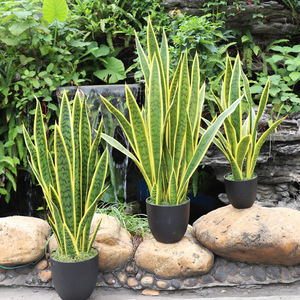 Simulation de plantes en pot d'orchidées tigres de verdure PVC souple fausses plantes artificielles simulation d'intérieur <span class=keywords><strong>orchidée</strong></span> <span class=keywords><strong>tigre</strong></span> - Product Image 3