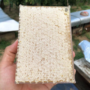 รวงผึ้งแท้ 100% จา<span class=keywords><strong>ก</strong></span>ธรรมชาติ คุณภาพสูง น้ำหนั<span class=keywords><strong>ก</strong></span> 500 <span class=keywords><strong>ก</strong></span>รัม บรรจุในกล่องใส - Product Image 4