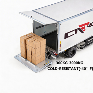 CADRO <strong>Hydraulic</strong> System For Heavy Lifting 500Kg 8000Mm Powerful - Product Image 1