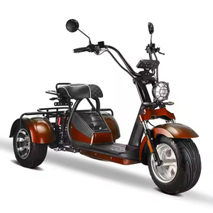 Triciclo Eléctrico Loyal de 3 Ruedas con Doble Motor, Scooter Eléctrico de 2000w 60v con Batería de 20ah, Motocicleta Eléctrica Barata Citycoco 4000w - Product Image 6