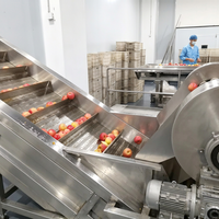 Ligne de traitement automatique complète du jus de pomme avec extracteur de jus |   Projet clé en main de stérilisation UHT et de remplissage aseptique
