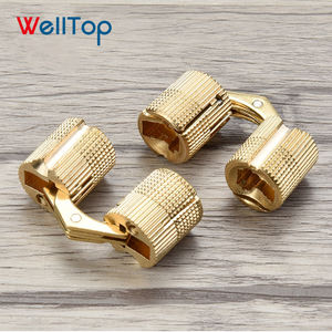 <span class=keywords><strong>Bisagra</strong></span> cilíndrica <span class=keywords><strong>oculta</strong></span> de barril invisible, pequeña, de latón, de 180 grados, para joyería artesanal, VT-261 - Product Image 4