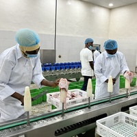 Ligne d'abattage de poulet compacte / Vente / Machine à plumer les poulets Équipement d'abattage