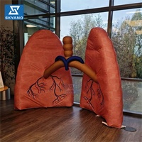 Modèle de poumon humain gonflable géant 3M, modèle anatomique, améliore l'éducation médicale/la promotion de la santé