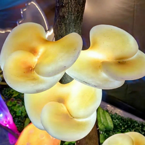 Single Layer Ganoderma <b>Tree</b> Hug Decorative <b>Led</b> Lamp With Warm Brown Light And Frp Material For Outdoor Landscape Decoration - Product Image 1