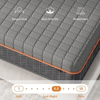 Hochdichte Gel-Memory-Foam-Matratzenauflage mit Massagetextur, Lavendel-Infusion, Belüftung, 25 cm Dicke, Bezug für Wohnmöbel