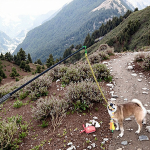 Bâtons tressés durables personnalisés et bâtons de flirt pour chiens pour l'entraînement et l'exercice en camping - Product Image 1