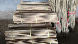 เสาค้ำต้นไม้จากไม้ไผ่ธรรมชาติ เป็นมิตรกับสิ่งแวดล้อม เสาค้ำมะเขือเทศจากไม้ไผ่  ผู้ผลิตไม้ไผ่ตงกิ้นจากเวียดนาม ยอดขายอันดับต้นๆ - Product Image 6