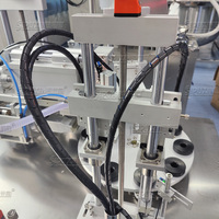 Machine de remplissage et de scellage de tubes cosmétiques en plastique ultrasonique à grande vitesse semi-automatique avec acier inoxydable de haute précision