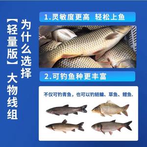 ชุดสายเบ็ดตกปลาขนาดยักษ์ Jqwarada สายถักหลัก ความแข็งแรงสูง สำหรับอ่างเก็บน้ำ บ่อ ลำธาร แม่น้ำ ทะเลสาบ - Product Image 3